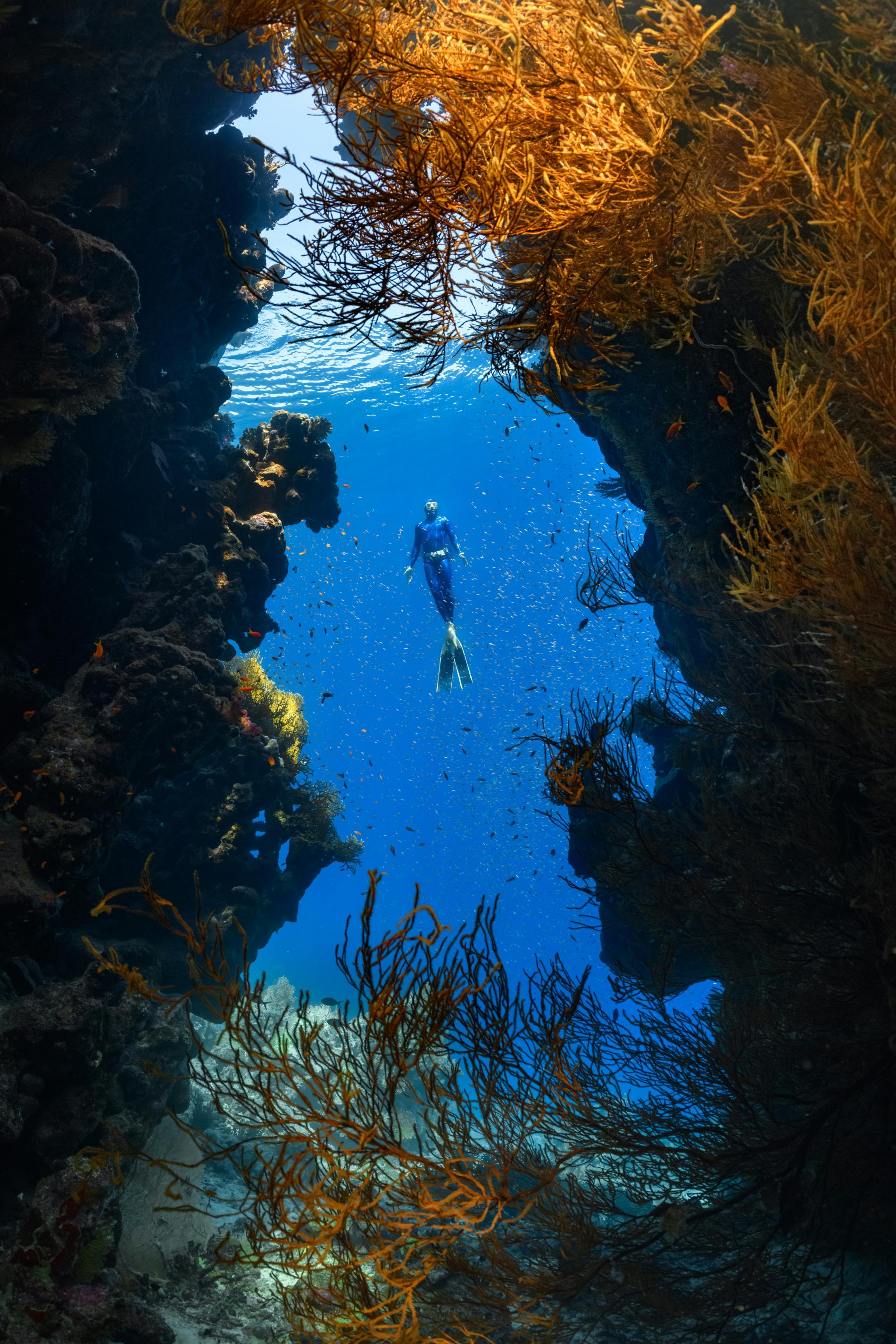 diving