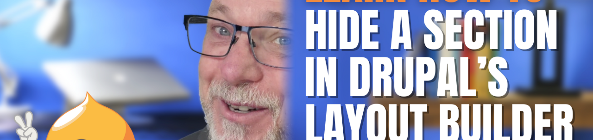 Hide a section